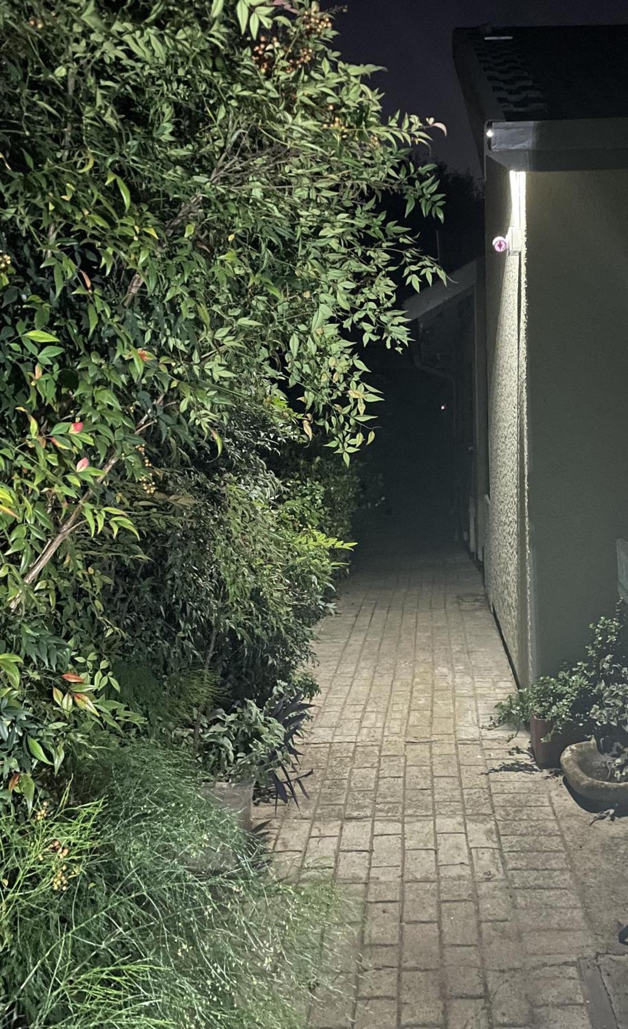 Celtis Lane Guest House Boksburg Buitenkant foto