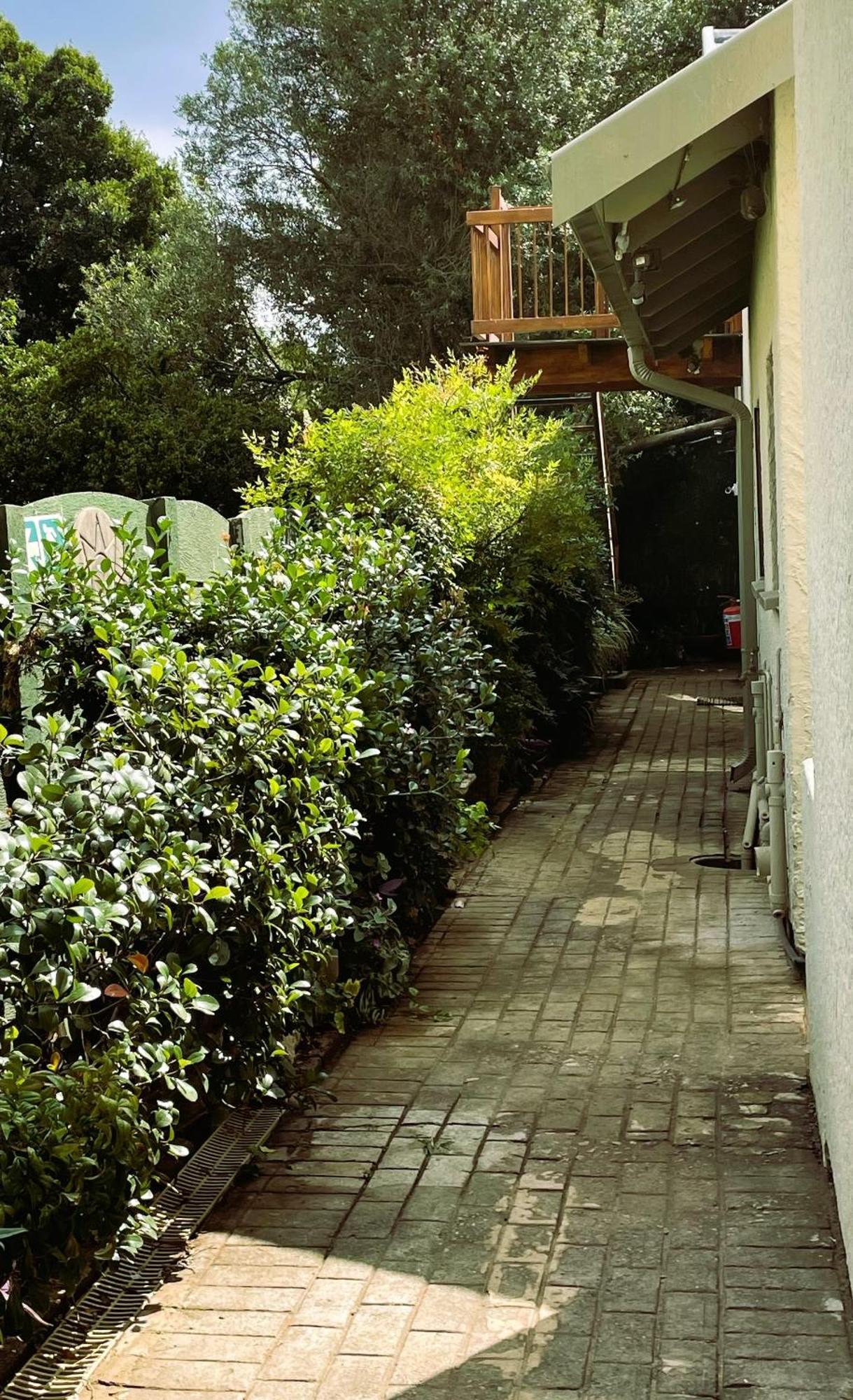 Celtis Lane Guest House Boksburg Buitenkant foto