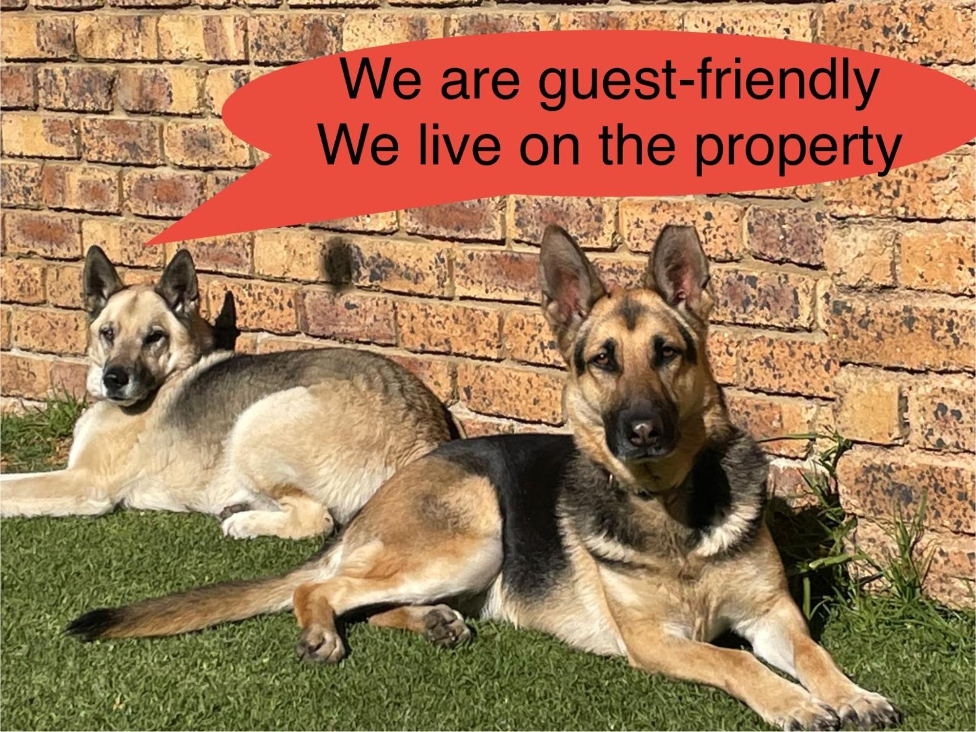 Celtis Lane Guest House Boksburg Buitenkant foto